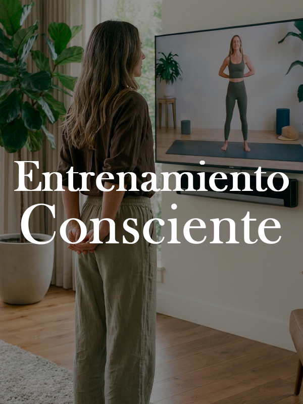 Entrenamiento